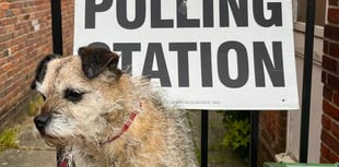 What really is the point of appointing local councillors? Ask the dog!