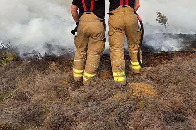 Two firemen survey the damage to the heathland near Bordon after a wildfire in June