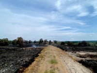 Heathland rangers: We're sitting on a tinder box – help the heaths...