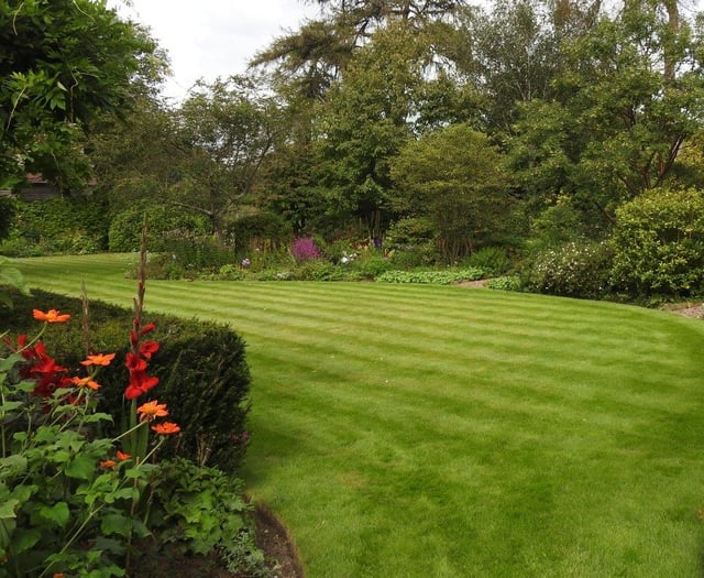 Medstead garden opening gate for National Garden Scheme next month