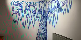 Allen Gallery raising refurbishment funds with ceramic leaf appeal