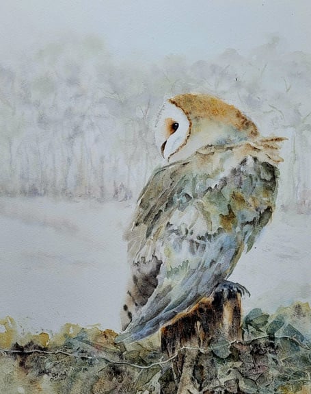 Owl on a Post by Jeannie Pakenham.