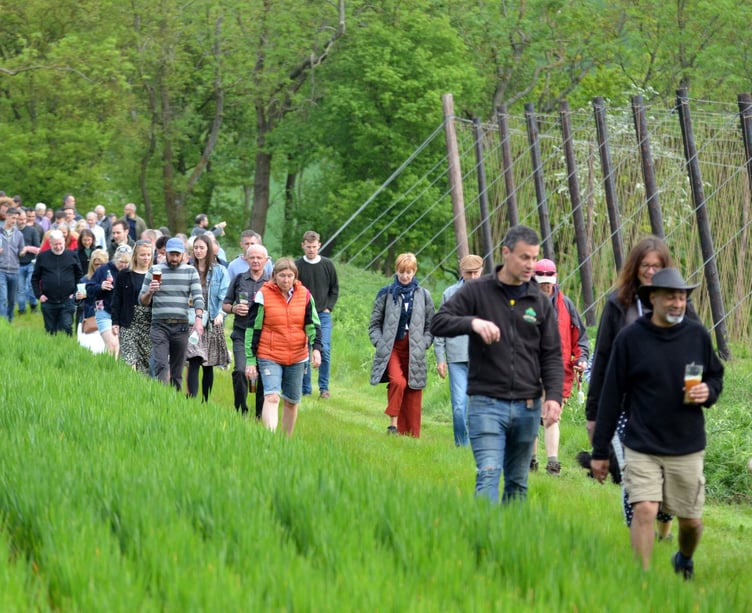 The Tongham-based Hogs Back Brewery welcomed 150 guests to the annual hop blessing at its brewery