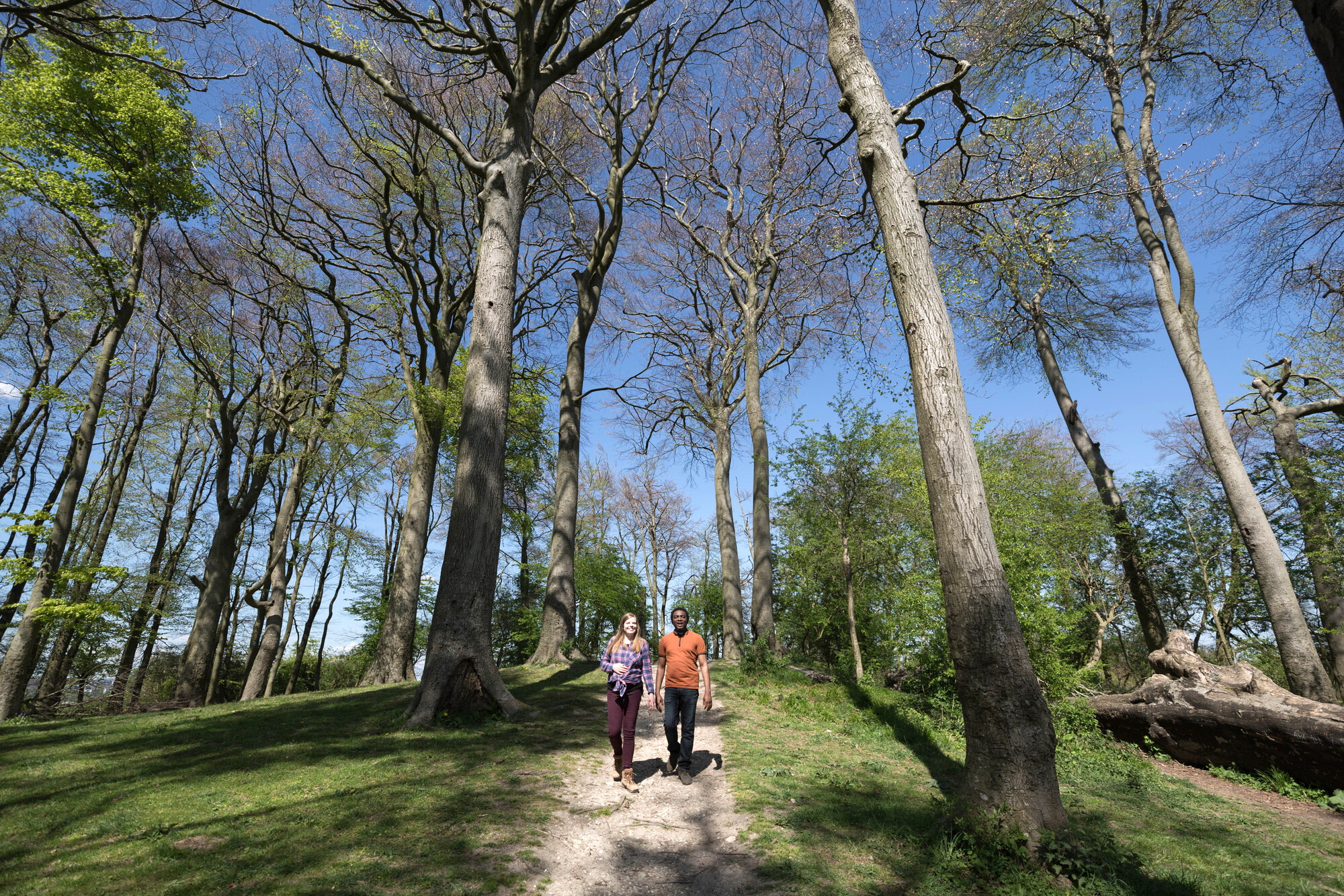 South Downs Way ranked among UK’s top long-distance hikes