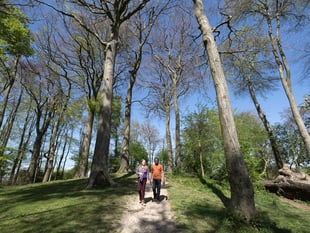 South Downs Way ranked among UK’s top long-distance hikes
