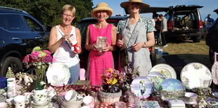Bumper crop of car boots expected at Bramdean's annual charity sale