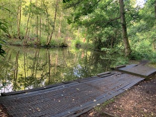 Water relief as major funding awarded to Bordon pond revival project