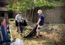 IT crowd get hands dirty in Liss care home garden
