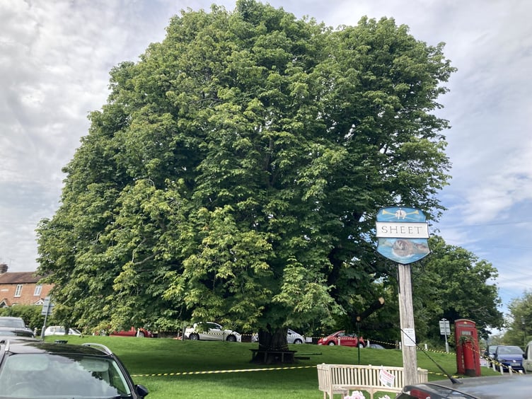 Sheet Village Green Tree
