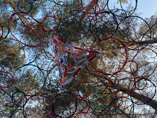 Creativity amidst nature: Heathland Artworks Trail at Farnham Heath