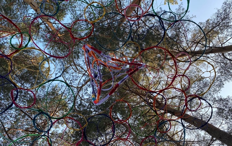 Diverse But Connected by Oluwafemi Babalola is on display at Farnham Heath this summer as part of this year's Heathland Artworks Trail