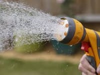 Hampshire hosepipe ban announced after record dry weather