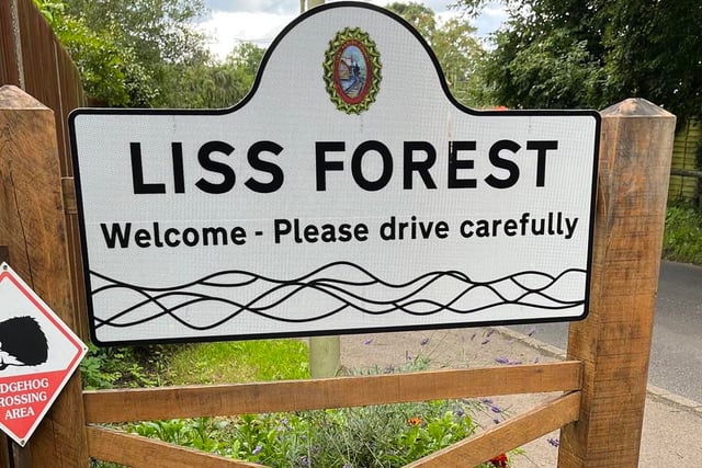 Forecast for Bank Holiday fun in Liss Forest