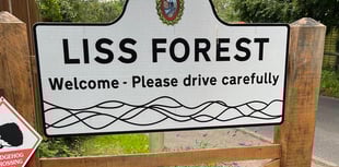 Forecast for Bank Holiday fun in Liss Forest