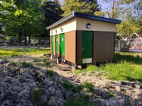 Lion Green toilet blocks: good idea or a real mess?