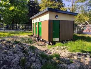 Lion Green toilet blocks: good idea or a real mess?