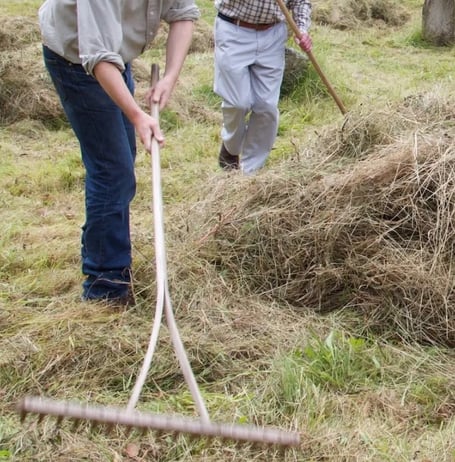 Hay Making