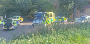 Murder probe launched after toddler dies after being pulled from pond