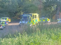 Murder probe launched after toddler dies after being pulled from pond