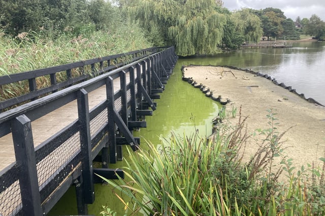 Calls for design rethink as new islands led to Heath Pond stink 