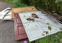 Fly-tippers strike again on rural lane near Buriton