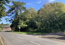 Council says 'no thanks' to Petersfield woodland transfer