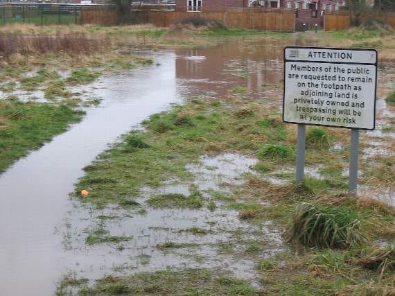 Flooded Petersfield water meadow