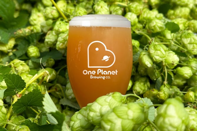 One Planet Brewery is set to open next to the Hogs Back Brewery in Tongham, brewing using 100 per cent solar-generated power