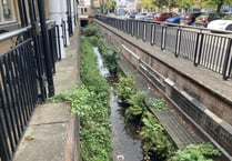 Calls to bring waterfall feature back to Petersfield shopping centre