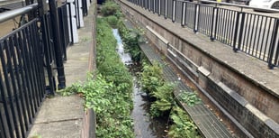 Calls to bring waterfall feature back to Petersfield shopping centre