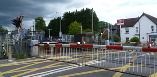 Website could ease level crossing wait times in Petersfield and Liss
