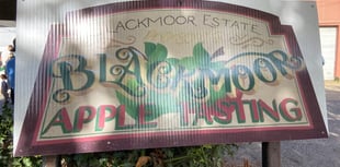 Video: Blackmoor Apple Tasting Day a-peeled to thousands!
