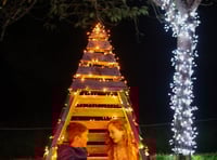 Glow Marwell to bring half a million lightbulbs to zoo for Christmas 