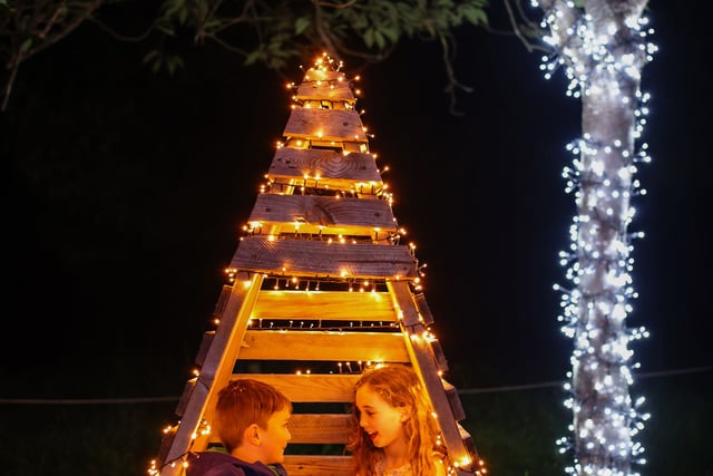 Glow Marwell to bring half a million lightbulbs to zoo for Christmas 