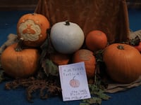 Bedales youngsters make harvest donation to Petersfield Food Bank