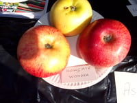 Apple grower brought fruits of labour to South of Butser group