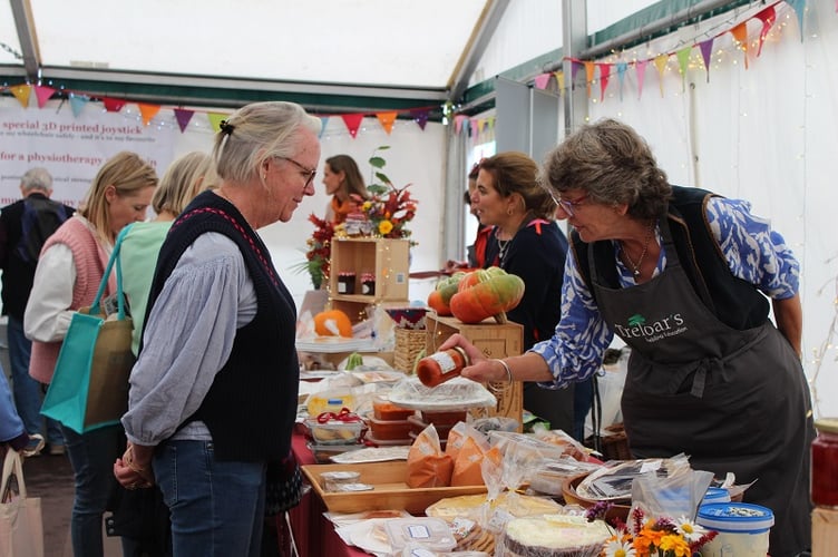 Dummer Fair raises incredible £36,000 for Treloar School and College ...