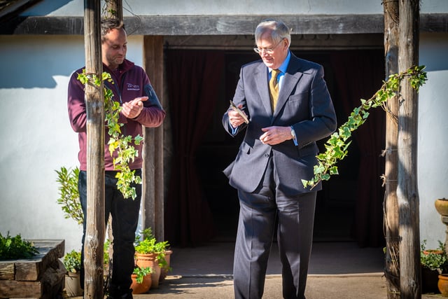 Royal opening for Roman garden and mosaic at Butser Ancient Farm