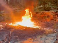 Finger pointed at arsonists as portaloos destroyed in Bordon blaze