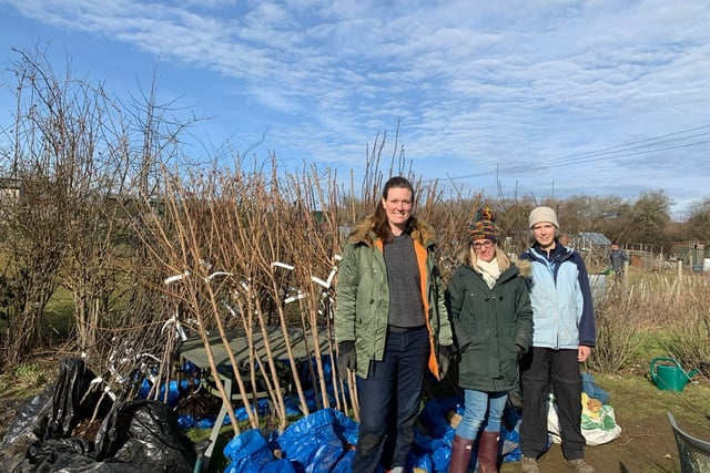 Petersfield climate action group launches discounted fruit free sale
