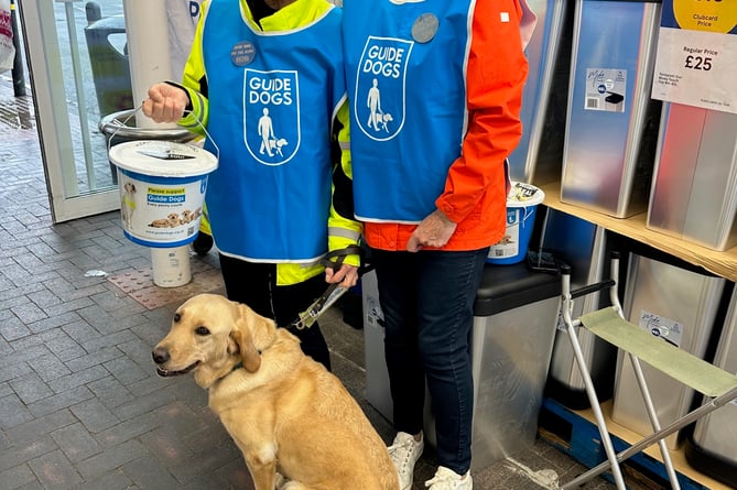 Guide Dogs at Tesco collecting