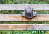 Maple Thieves: Court unimpressed as drink left Canadian trio in the dock