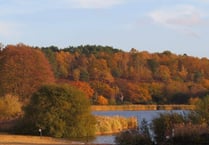 Frensham Ponds' brilliant bogs scoop Loo of the Year award