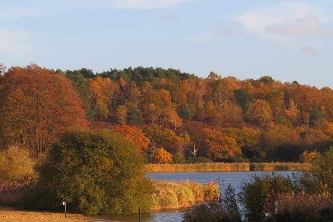 Frensham Great Pond in the autumn
