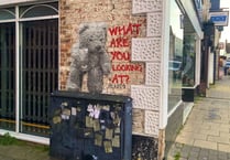 Street artist Hendog creates beary interesting piece in Petersfield