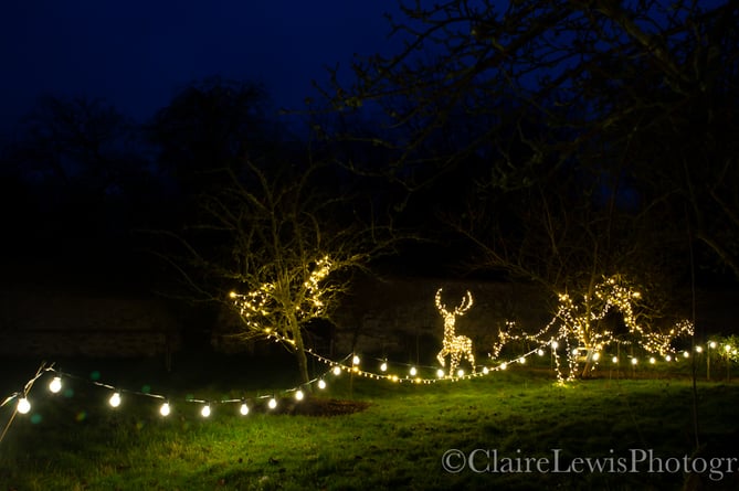 From December 18, Chawton House's gardens will be lit up and open to explorers from 3pm to 6.30pm each evening for its Glimmering Gardens display