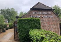 Celebrate 35 years of Petersfield Physic Garden this weekend