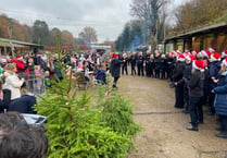 Wylds Farm in Liss kicks off Christmas tree sales with festive fun