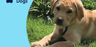 Shoppers thanked as collection raises £469 for canine charity