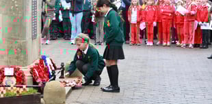 Royal British Legion thank you as Petersfield Poppy Appeal raised £30k